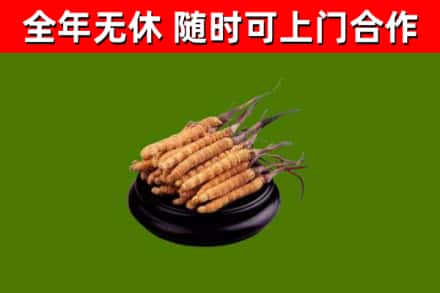 北屯市烟酒回收冬虫夏草.jpg